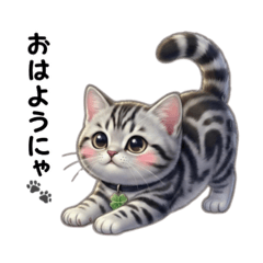 Tsukiyo_20260116185946