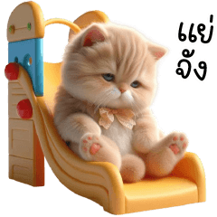 แมวแสบชีวิตขาลง