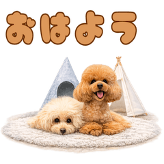 ココア＆マッチャのほわほわトーク♪