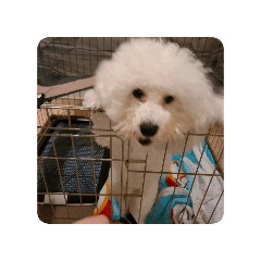 otokun_20260117110556