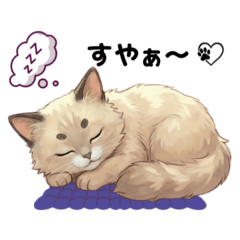 Tsukiyo_20260117102141