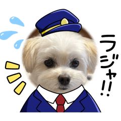 ALICE_20260117111024