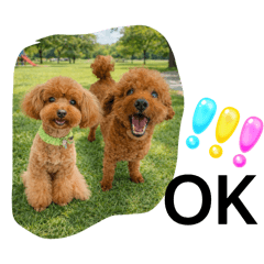 mie_20260117114924