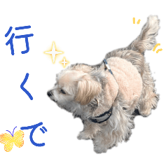 kana_20260117120621
