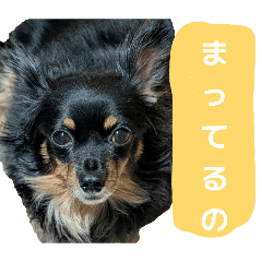kana_20260117093107