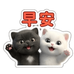 Q-Black and White Cats