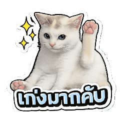 Netrnada_20260117102248