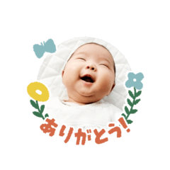 sumire_20260117124422