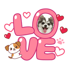 ❤️黃KURI 吉度口愛❤️