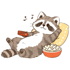 Cozy Raccoon Days