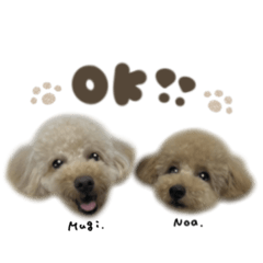 むぎくん☆のあくん2mix