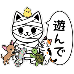 PONOPIMCHAN_20260117130610