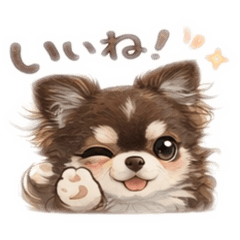 chaco_20260117135857