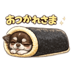 chaco_20260117142049