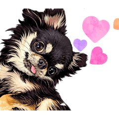 ciwakko_20260117142556