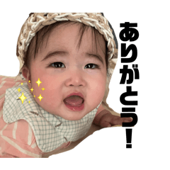 amitan_20260117144543