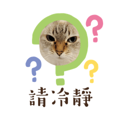 㛹寶與妲寶生活日常