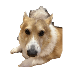 hinako_20260117172203