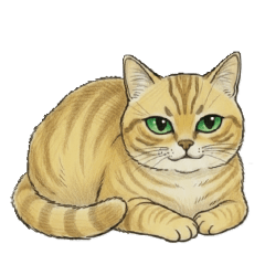 TOMY M_20260117191702