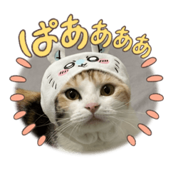 chimumu_20260117180849