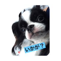 rumah-ayu_20260117172201