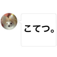 SUMIRE_20260117203039