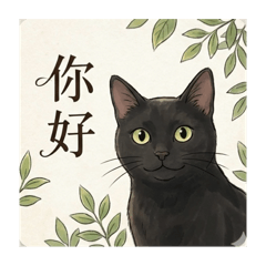 黑貓的日常生活