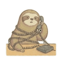 Slow Sloth: Office Life