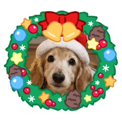 ayuponman_20260117191051