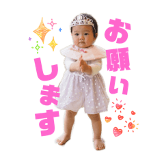 aotomama_20260117204607
