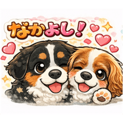 r.pey_20260117204441