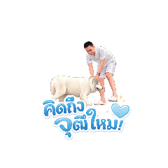 wut wut_20260117151303