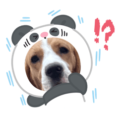 momay_20260117152415