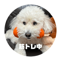 くーちゃんの日常。。