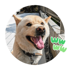 jasmine_20260117213506