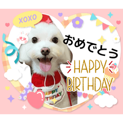 saeka1115_20260117212330