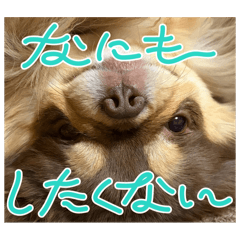 Yurino_20260117225904