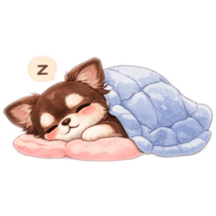 chaco_20260118000054