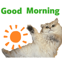 Varon&Meron_20260115213026