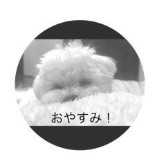 natsume_20260117215458