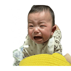 Yuka_20260117215453