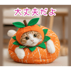 PAKAMOGOLY_20260117225615