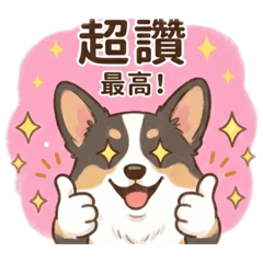 家有肥狗妹子v1