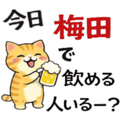 isoyakatu_20260115234507