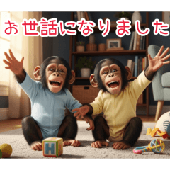 PAKAMOGOLY_20260116073809