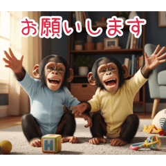 PAKAMOGOLY_20260116074129