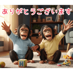 PAKAMOGOLY_20260116073639