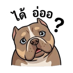 Jakkrit_20260118011215