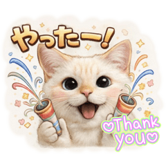 Choki_20260117184210