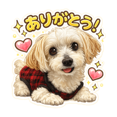 Maltipoo nuts STAMP